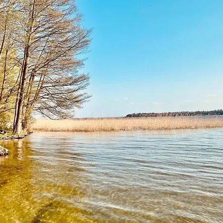 Cypel - Zwierzyniecki Rog Trygort